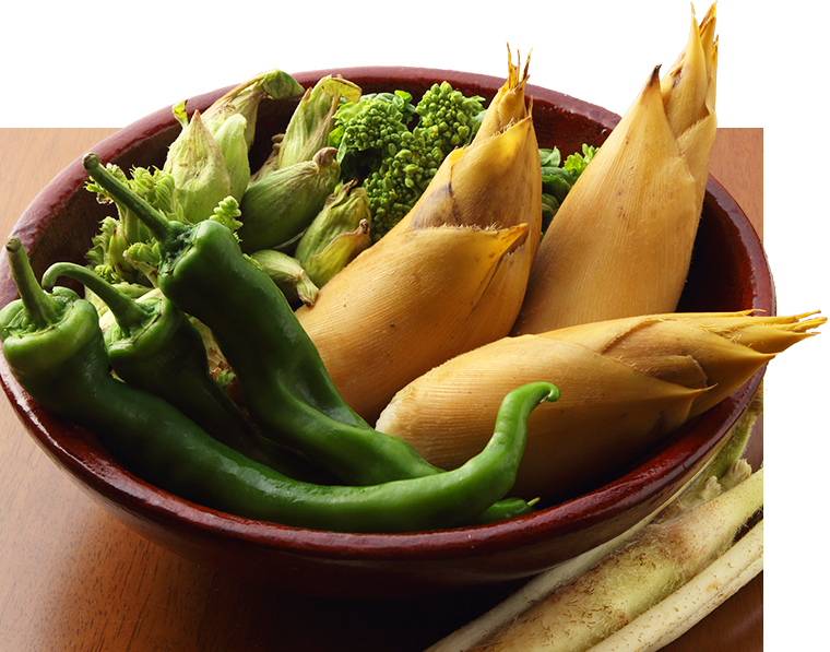 野菜素材
