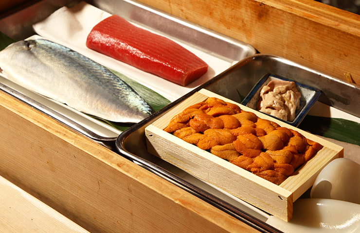 魚素材